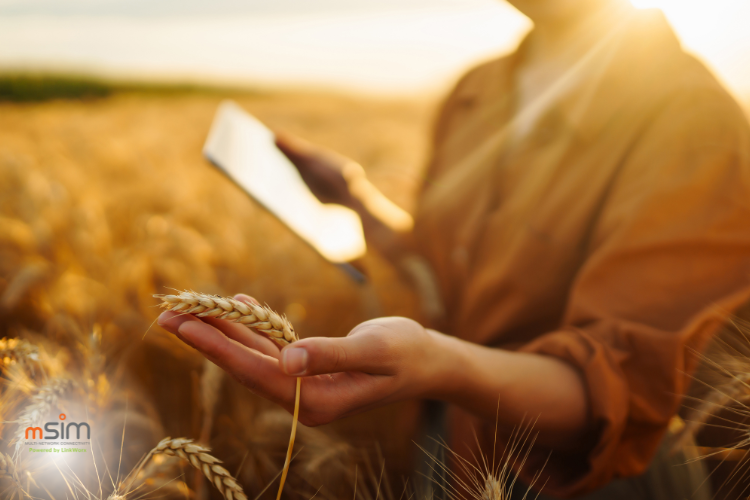 MSIM has got an unique capability to switch seamlessly between multiple cellular networks depending on the best signal available, MSIM offers uninterrupted, cost-effective connectivity nationwide.